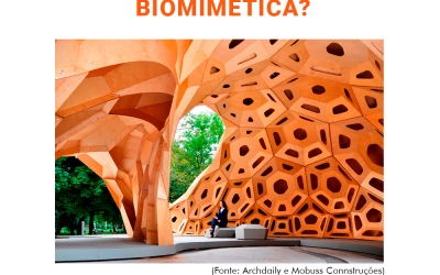 Você conhece a Biomimética?